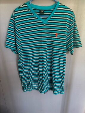 Striped Teal V-Neck Men's Shirt with Logo